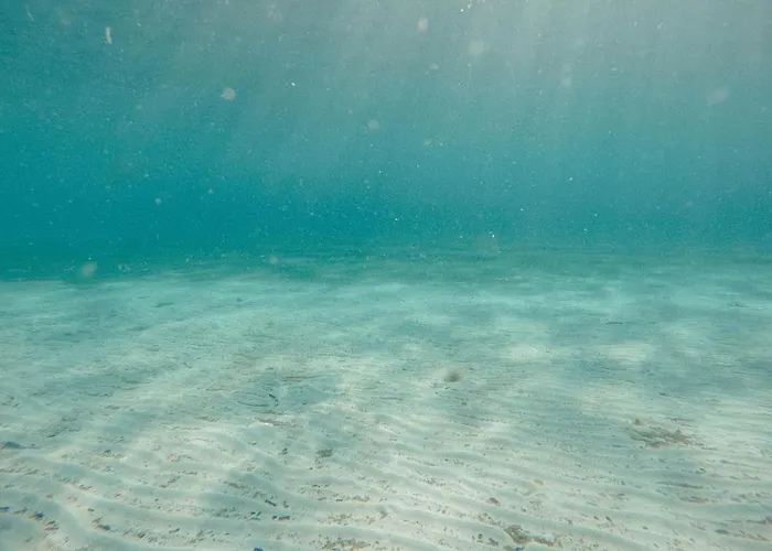 House Marija Drvenik Mali 度假居 特罗吉尔