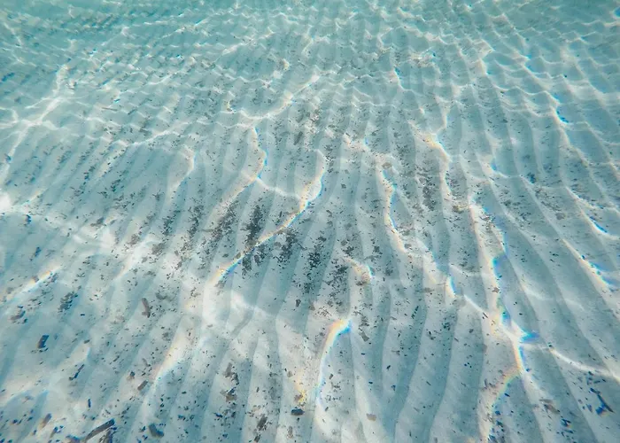 House Marija Drvenik Mali 度假居