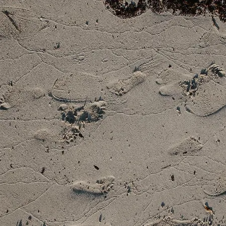 House Marija Drvenik Mali Σπίτι διακοπών *