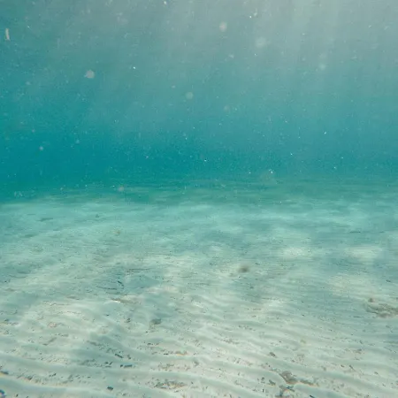 House Marija Drvenik Mali Дом отдыха Трогир