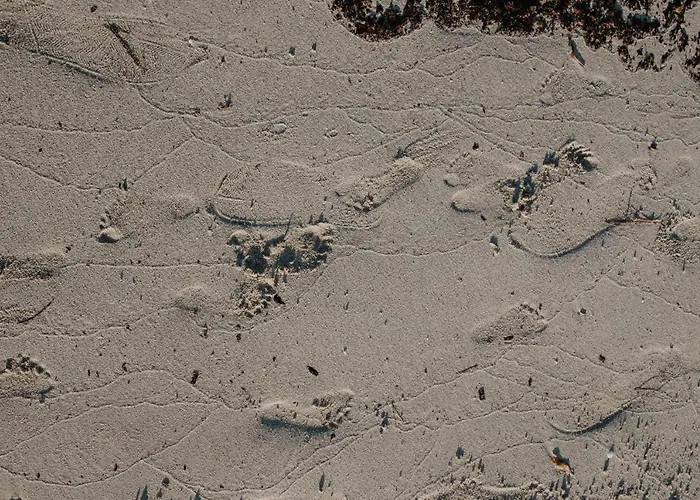 House Marija Drvenik Mali Vikendica *